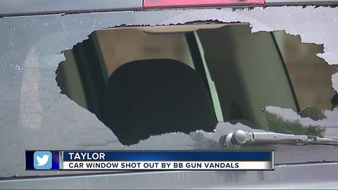 Car window in Taylor shot out by BB gun vandals