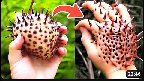 Top 25 Most Rare and Exotic Fruits in the World