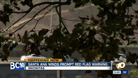 Santa Ana winds kick up across San Diego County