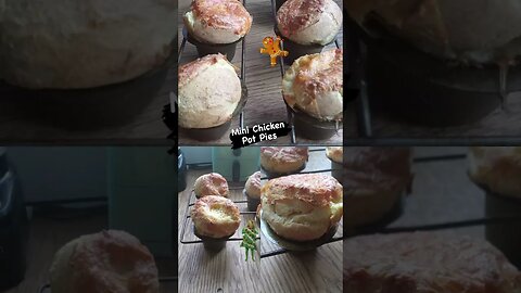 Homemade Miniature Chicken pot pie’s