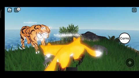 ANIMAL LIFE FOREST ROLEPLAY ROBLOX - RAPOSAS 🦊 DE 9 CALDAS - TOTOY GAMES @NEWxXx Games #roblox