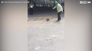 Uomo salva gattino dalle grinfie di un serpente gigante!