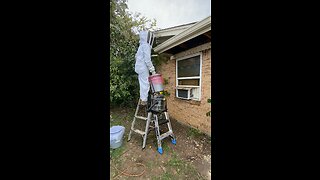 Bee vacuum is the only way to get bees for queenless hives.