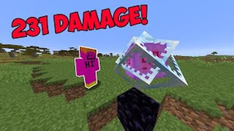 MINECRAFT 2021 - "The Most Damage in Minecraft..."