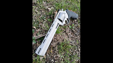 Taurus Raging Bull