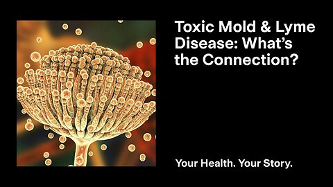 Toxic Mold and Lyme Disease: What’s the Connection?