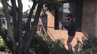 Un bûcheron amateur fait tomber une branche d'arbre sur une maison