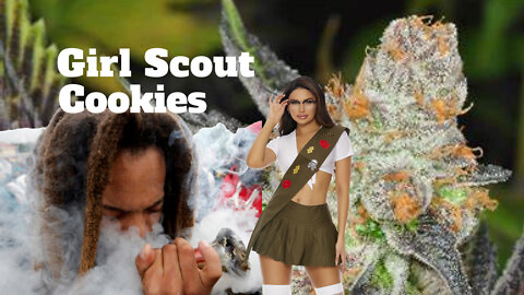 Flower to The People - Girl Scout Cookies