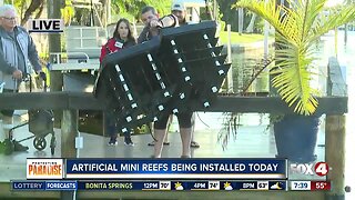 Fox 4 joins Ocean Habitats as they install mini reefs on Fort Myers Beach