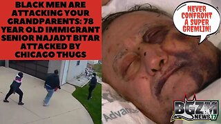Black Men are Attacking Your Grandparents 78 y/o Immigrant Senior Najadt Bitar Attacked by Thugs