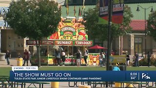 Tulsa State Fair Junior Livestock Show continues amid pandemic