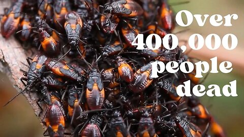 over 400,000 people lost their lifes because of these bugs - Be informed