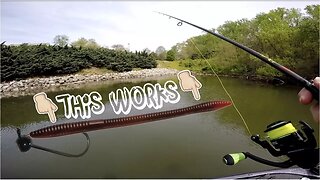 GO FINESSE Catch Spring Bass!