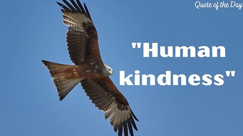 HUMAN KINDNESS / MOTIVATIONAL QUOTE / QUOTE OF THE DAY