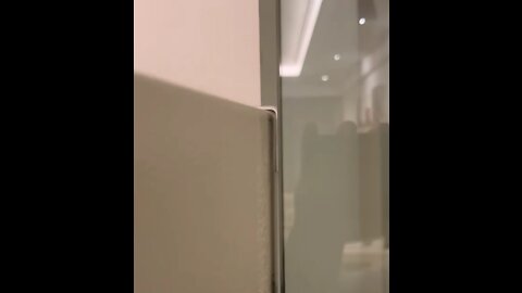 This Fridge and Glass door -my first- - Perfectfit