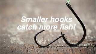 Hook size can make a big difference in the number of fish you catch