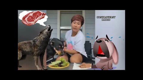 Forcing a Dog To Be Vegetarian FAIL 🤣