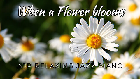 When a Flower Blooms "OFFICIAL AUDIO" (A soft Jazz piano composition)