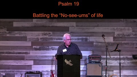 Battling the “No-see-ums” of life — Psalm 19
