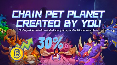 Chain Pet new token review