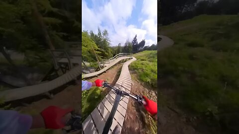 A Real Roller Coaster For Mountain Bikes???