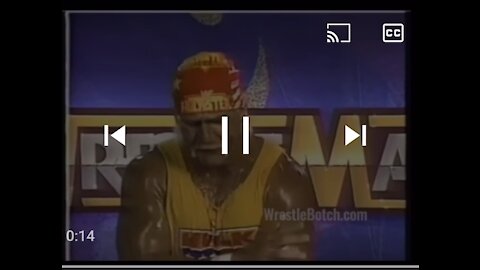 Hulk Hogan