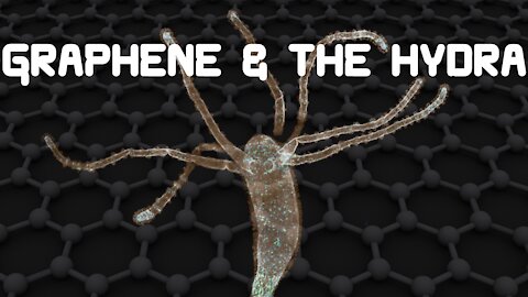 Graphene & The Hydra