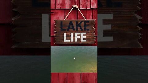 Lady Floats in Serene Lake 🌍: Breathtaking Tiny Planet Drone View! #lakelifestyle #lakelife