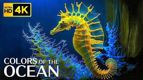 The Colors of the Ocean 4K - Beautiful relaxing movie with soothing music