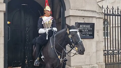 Save our bully's protester #horseguardsparade