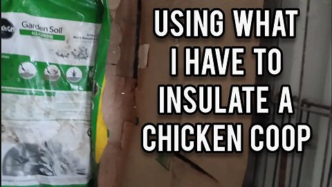 Using What I Have to Insulate a Chicken Coop