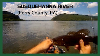 Kayak Fishing on the Susquehanna River in the Pelican Catch 130 Pedal Drive