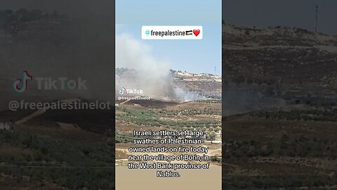 Illegal #european #american set #fire to #westbank #palestine land. #colonizer #settlers #usa #news