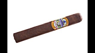 Bahia Gold Robusto Cigar Review