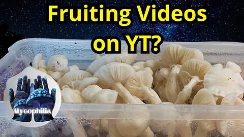 Fruiting Videos on YouTube? Walk with me.