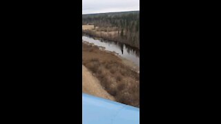 Beautiful flight over the taiga