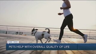 Dogs with energy best for lowering stress