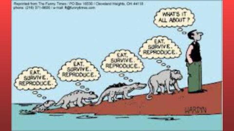 The Use of Evolutionist by Creationists Explained