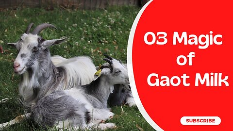 Goat Milk Magic: 3 Impressive Health Benefits | Benefits of goatmilk