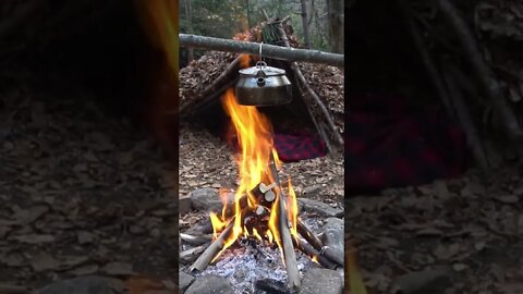 Survival Shelter in the Wilderness. Bushcraft Skills