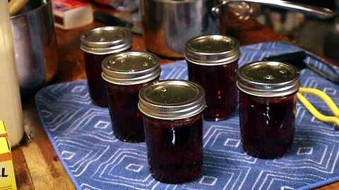 AMERICAN BEAUTYBERRY JELLY From Harvesting To Jarring Up | All About Living