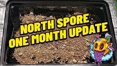 North Spore Boomr Bag One Month Update | Boomr Kit EP3