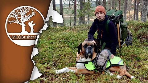 Wilderness Overnight Camping with my Dog, and how I Use My Gear