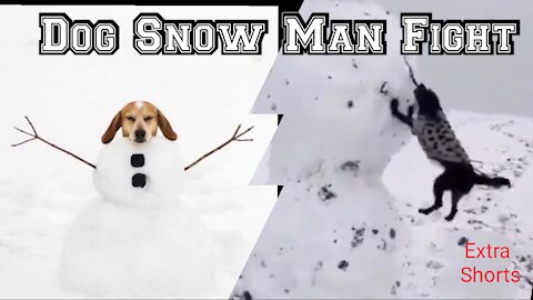 Dog Vs Snow Man | Extra Shorts | Happy Christmas | Happy New Year
