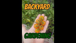 Quick Garden Tour