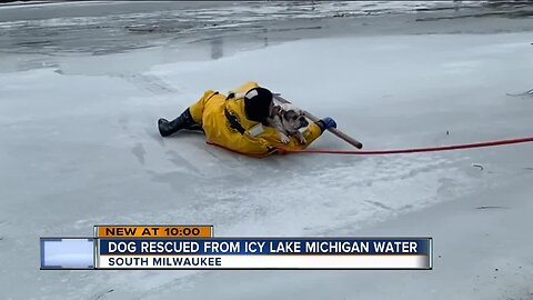 Video captures firefighters rescuing dog who fell through Lake Michigan ice