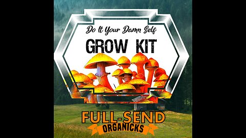 Grow kits | Easy Mini Monotub Tutorial for mycology at home.