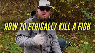 How To KILL A Fish - FASTEST & Most HUMANE WAY! (Bonus Gut & Fillet HOW TO)