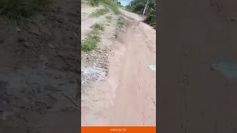 Trabalhadora rural denuncia invasão e destruição de sua plantação pela Prefeitura de Ribamar