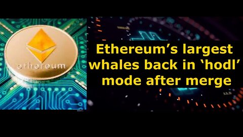 Crypto news on the cryptocurrency market for 11/01/2022 bitcoin news Ethereum Bybit Binance Dogecoin